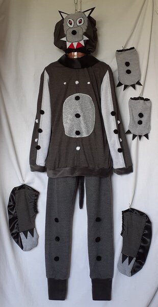 Costume de carnaval pentru copii intre 3 si 14 ani